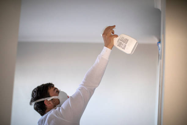 Best Mold Removal Process  in Red Bank, TN