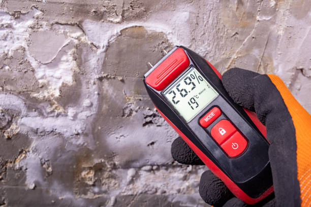 Mold Removal Process in Red Bank, TN