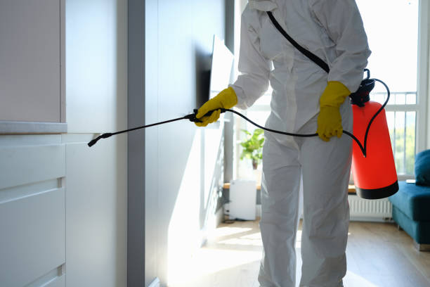  Red Bank, TN Mold Removal Pros
