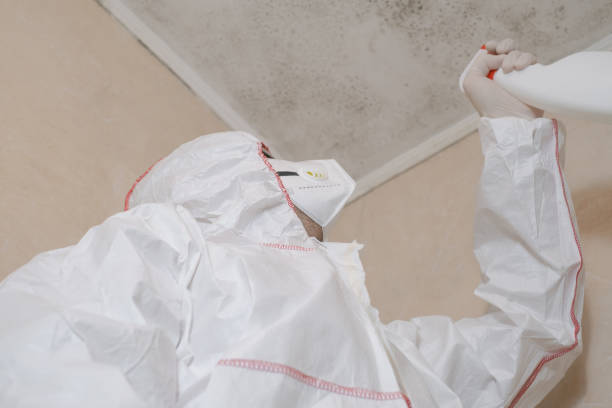 Best Mold Testing  in Red Bank, TN
