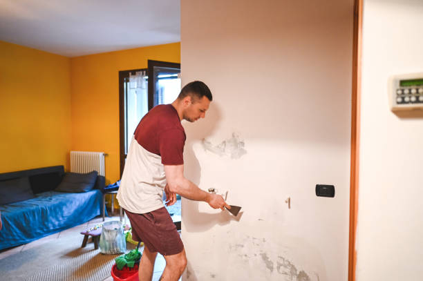 Best Commercial Mold Removal  in Red Bank, TN